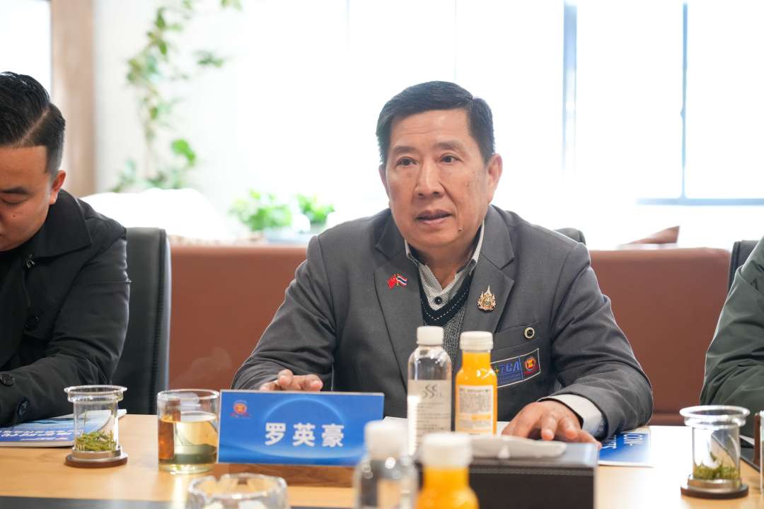 电驴时代东盟合作