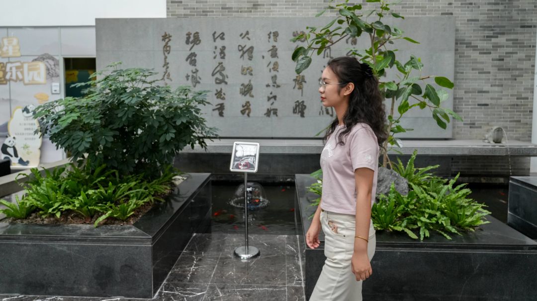 电驴延保;合同管理;SOH值